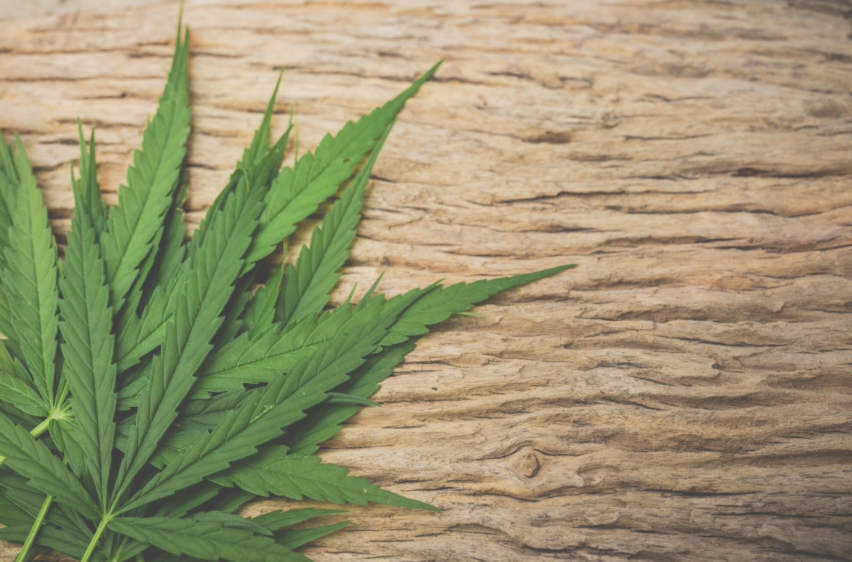 Преимущества конопляного текстиля