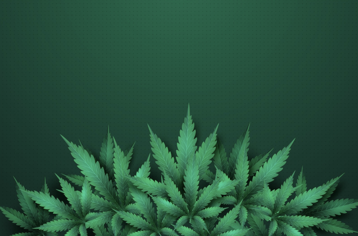 Перспективы развития